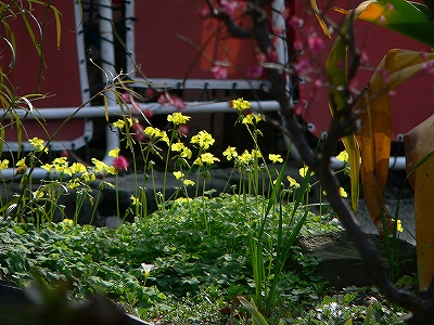 f0029038_21355794.jpg