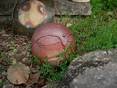 f0029038_2233075.jpg