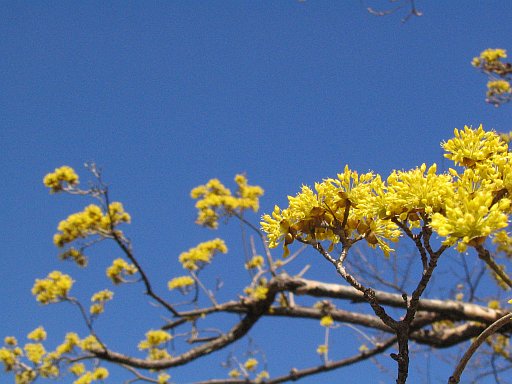 c0024743_20472118.jpg