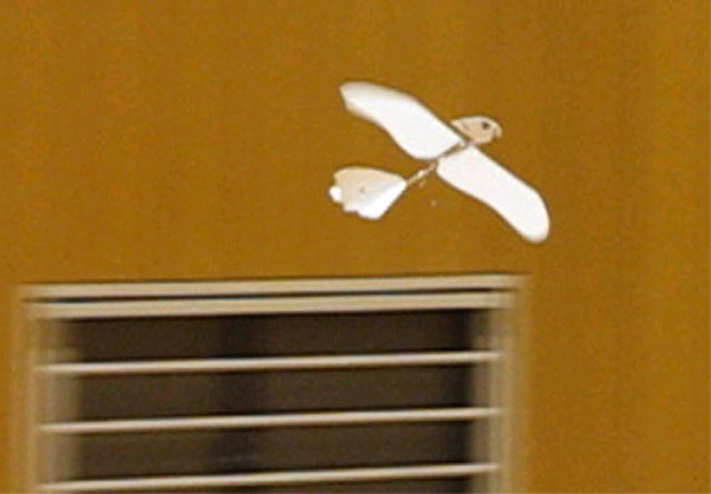2007年3月11日 SSFC飛行会_d0067943_2110525.jpg