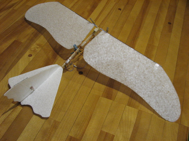 2007年3月11日 SSFC飛行会_d0067943_21125918.jpg