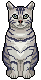 e0028056_22375587.gif