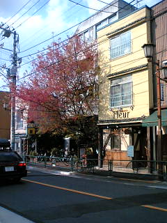 a0053063_17475620.jpg