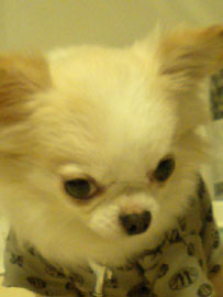b0059000_1422690.jpg