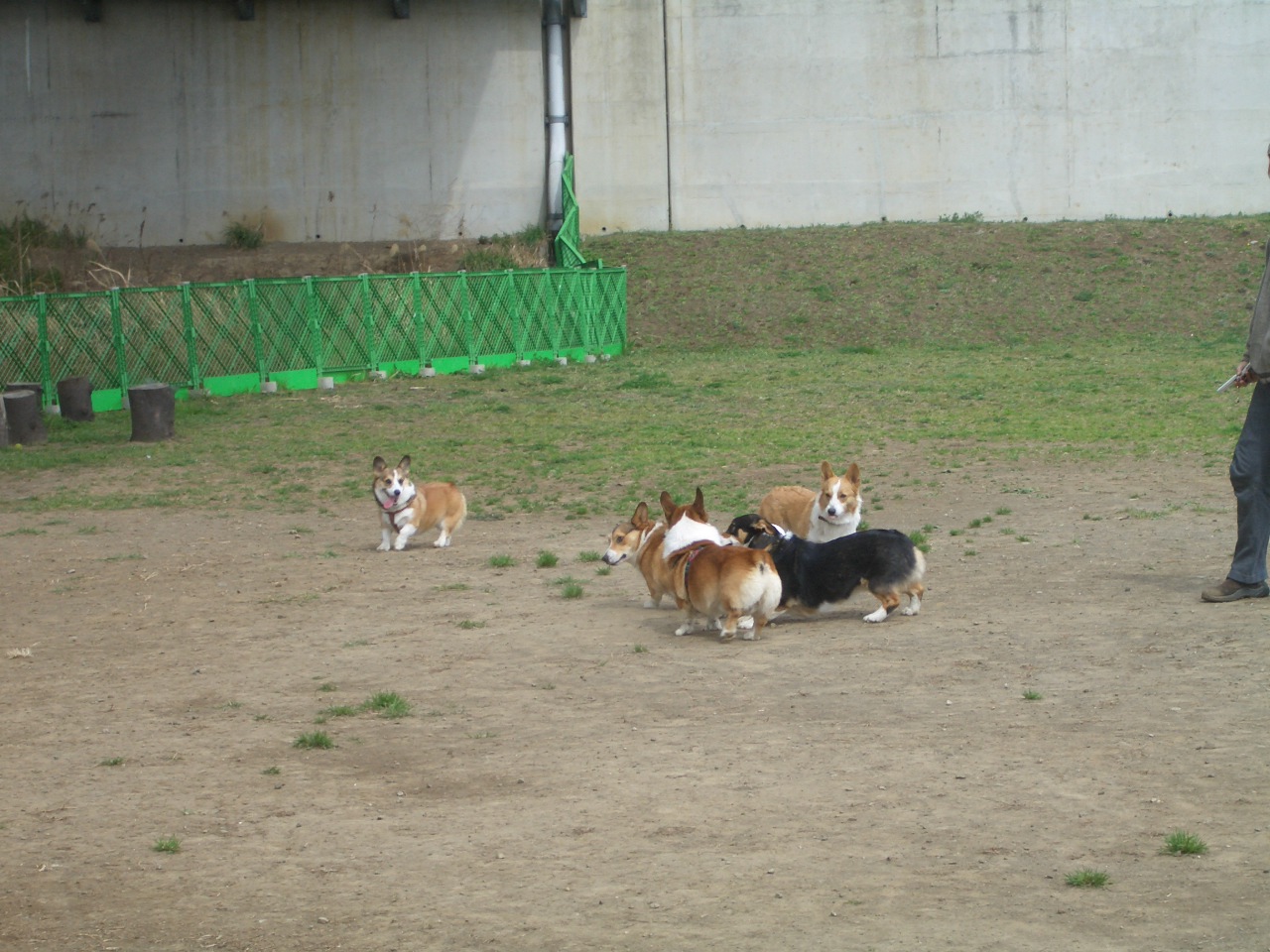 f0101201_2054983.jpg