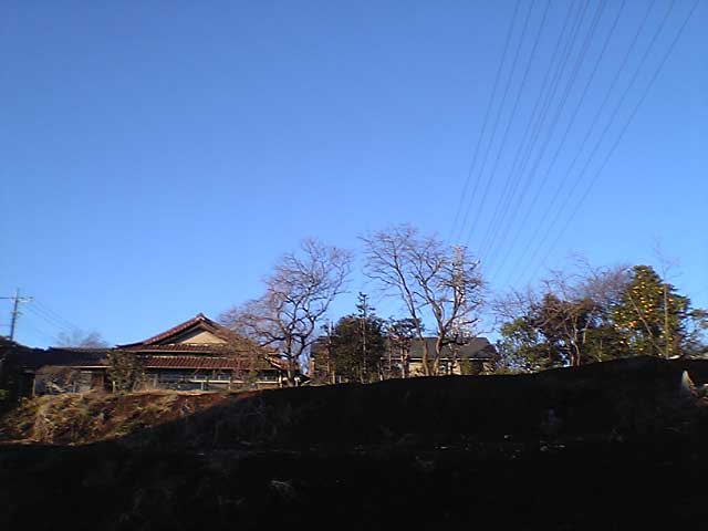 徒然_b0060102_2192280.jpg