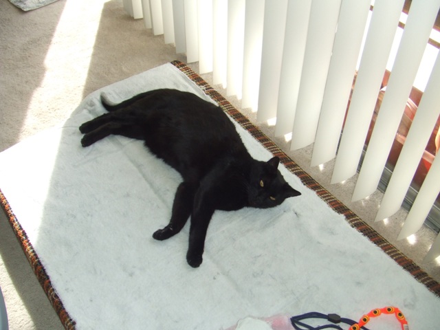 c0062603_13274340.jpg