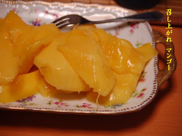e0094407_2357319.jpg