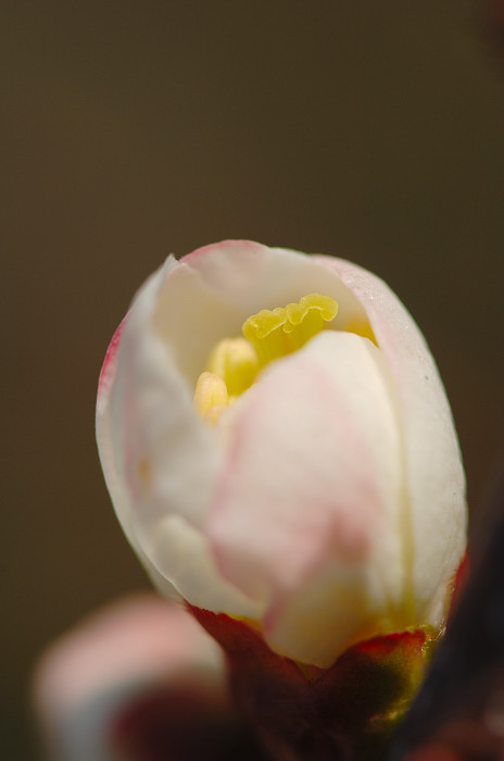 公園の色彩_f0032011_2032416.jpg