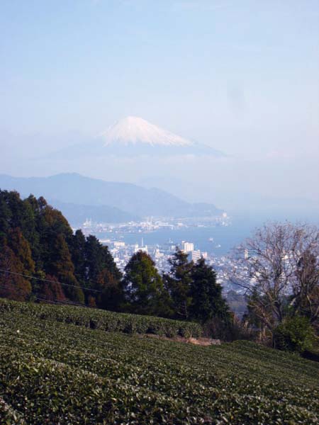 f0120317_1443653.jpg