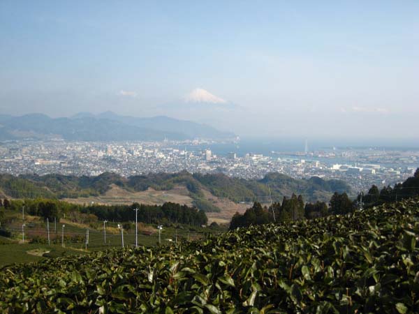 f0120317_1462493.jpg