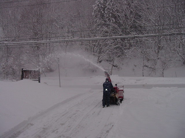 春の淡雪_f0012744_7261236.jpg