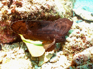 d0065247_2317122.jpg