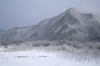 冬将軍が出戻った_e0009049_19533580.jpg