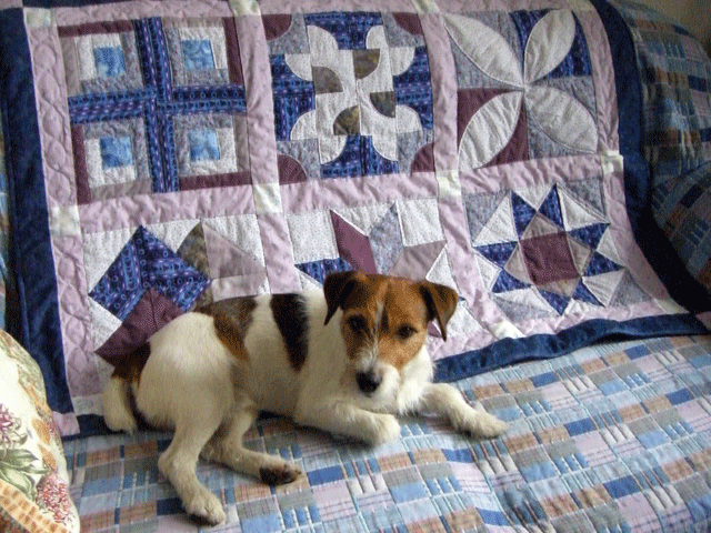 f0077150_0121580.gif