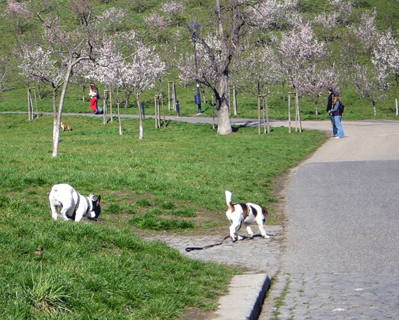 f0077150_0184654.gif