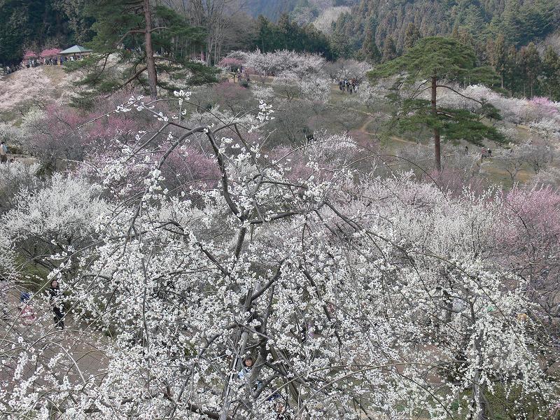 c0059854_2289.jpg