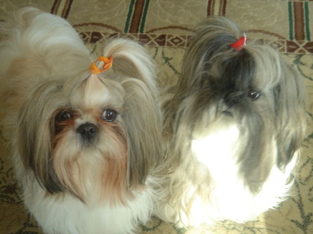 c0090198_14103135.jpg