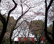 d0090800_2193539.jpg