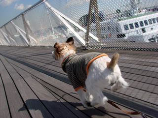 f0080105_23475488.jpg