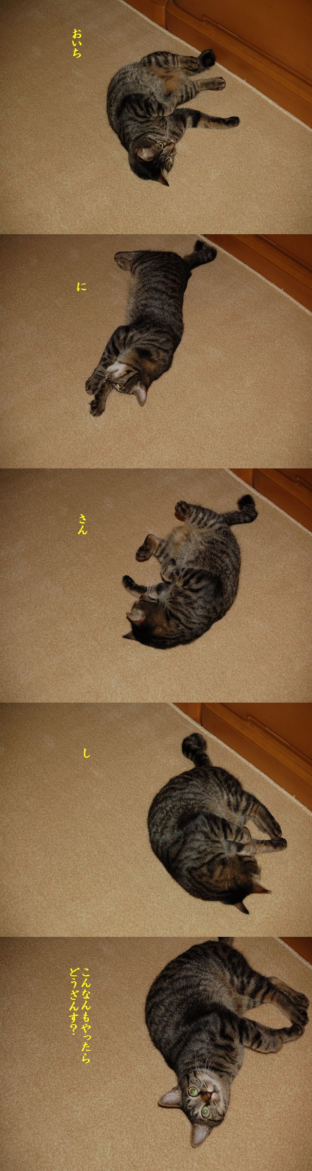 e0094407_093190.jpg
