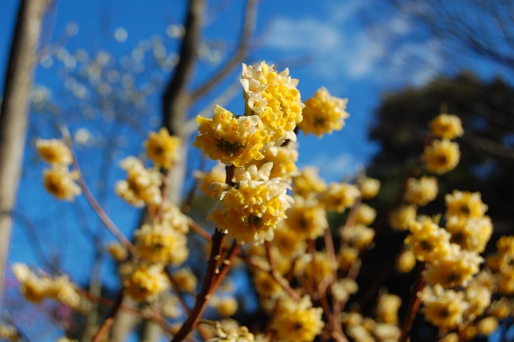 c0113508_11482060.jpg