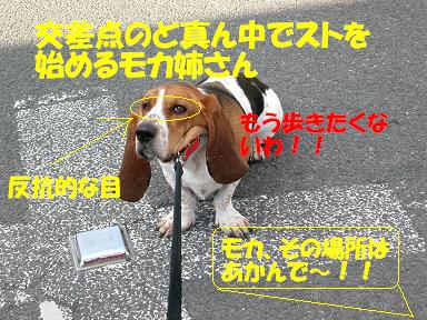 f0121712_9572211.jpg