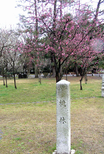 京都御苑　桃園_e0048413_21264312.jpg