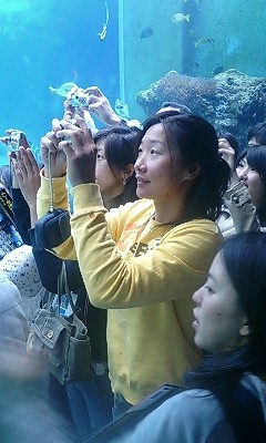 美ら海水族館_f0009821_15474685.jpg