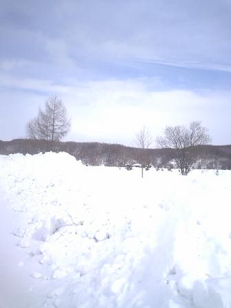 d0102422_1650799.jpg
