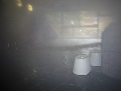 d0086228_11235332.jpg