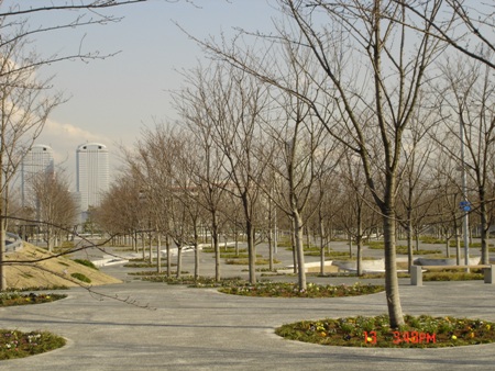 c0022340_20485179.jpg