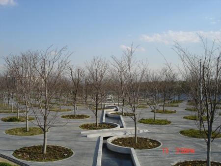 c0022340_2049374.jpg