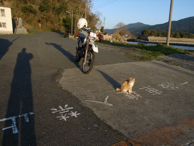 林道_d0073743_2122580.jpg