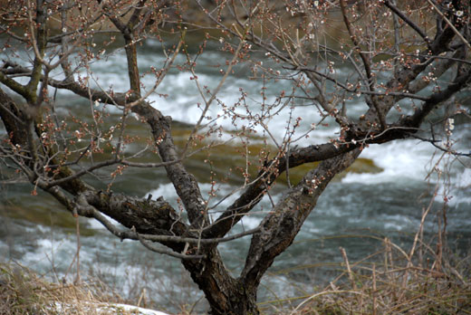 c0093046_761546.jpg