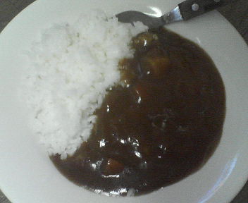 ご飯はカレー_e0114246_1134455.jpg