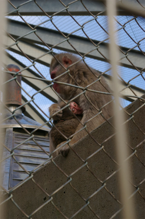 湊山公園／寒い日_d0108055_20141712.jpg