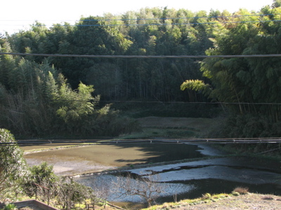 d0050472_22284027.jpg