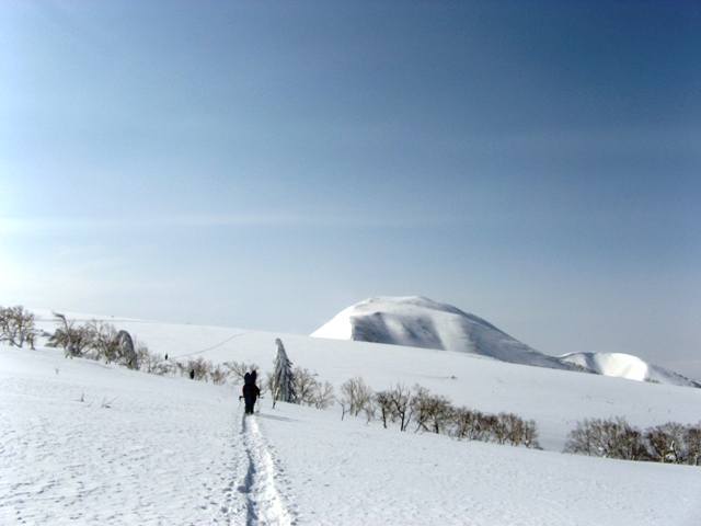 余市だYO！！_e0072976_0511850.jpg