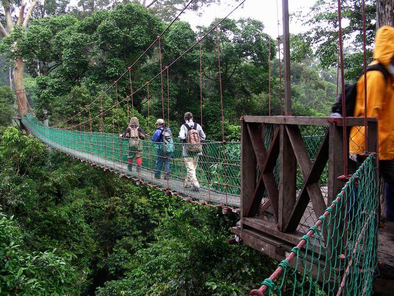 b0108186_2311424.jpg