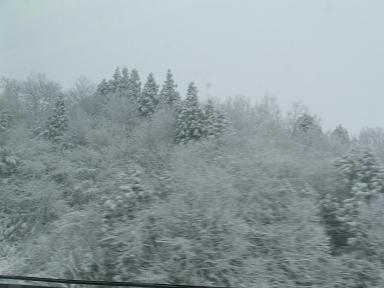 f0007990_21443964.jpg