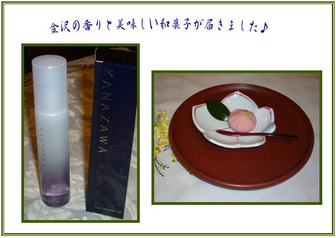 カランコエ_c0051105_2353410.jpg