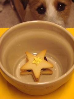 f0080105_116975.jpg