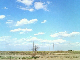 ひどい_e0102806_2213748.jpg