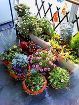 f0004309_1235136.jpg