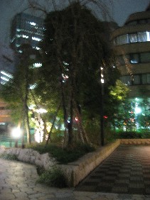 a0044916_2331567.jpg