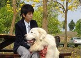 花樣少年少女_c0042344_13141518.jpg
