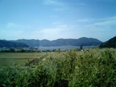 c0046846_2005332.jpg