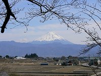 武田の里のんびりウォーク_f0019247_2051834.jpg
