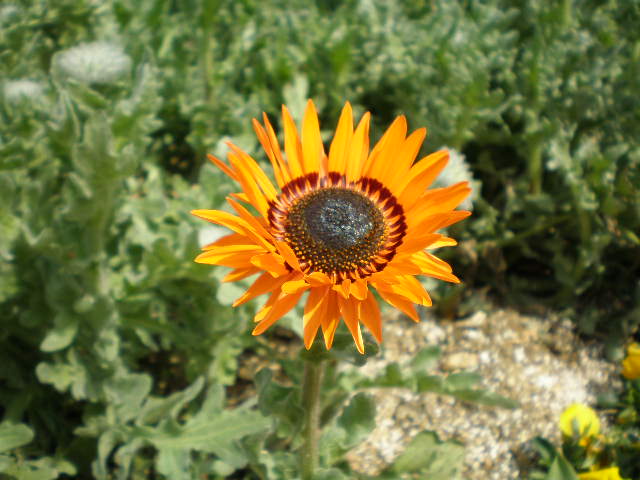 d0104252_9274230.jpg